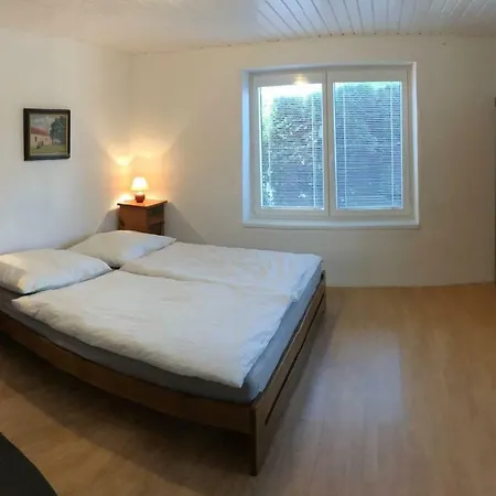 Adela's Czech Vsejany