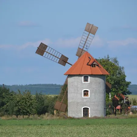 Adela's Czech Vsejany