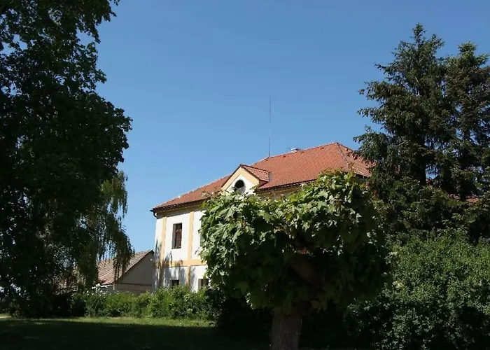 Adela's Czech * Vsejany