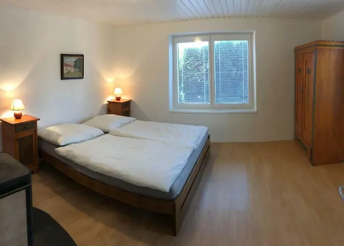 Adela's Czech Vsejany