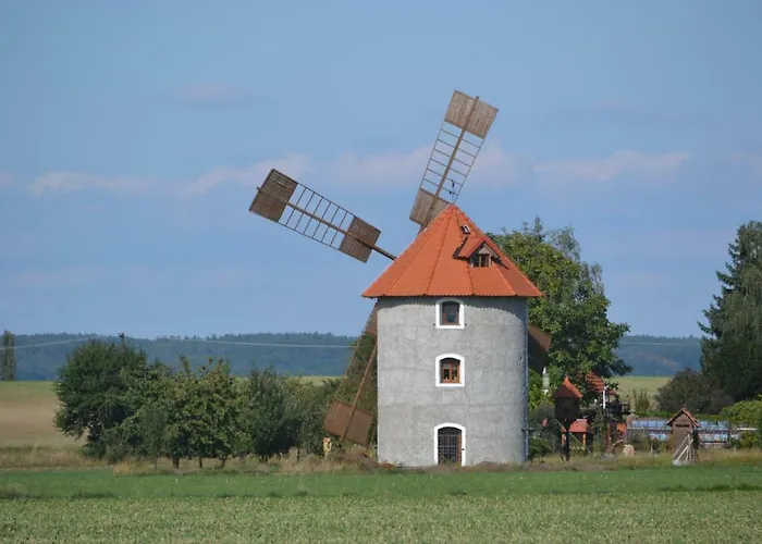 Adela's Czech Vsejany
